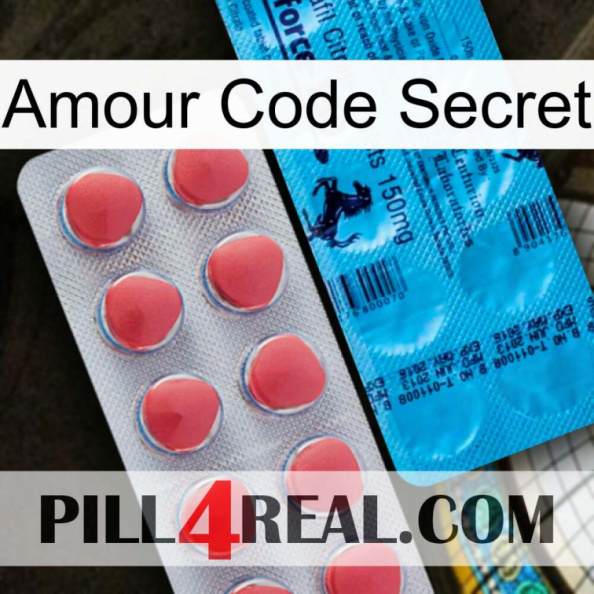 Love Secret Code new14
